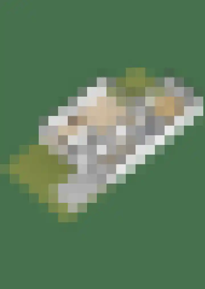 Zilvermeeuwhof 13 Nuenen thumbnail 44