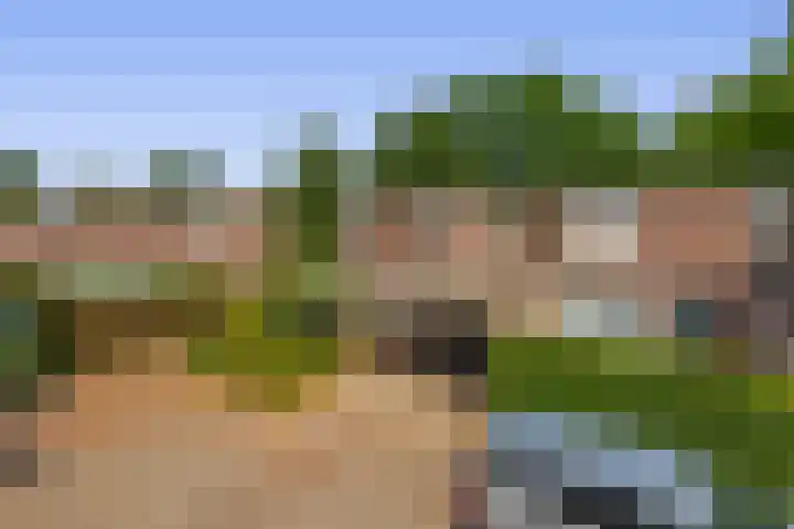 Zilvermeeuwhof 13 Nuenen thumbnail 45