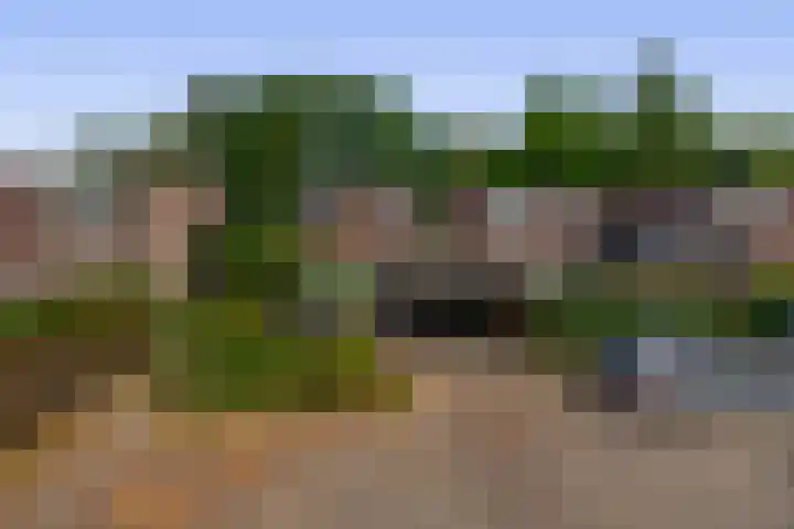 Zilvermeeuwhof 13 Nuenen thumbnail 6