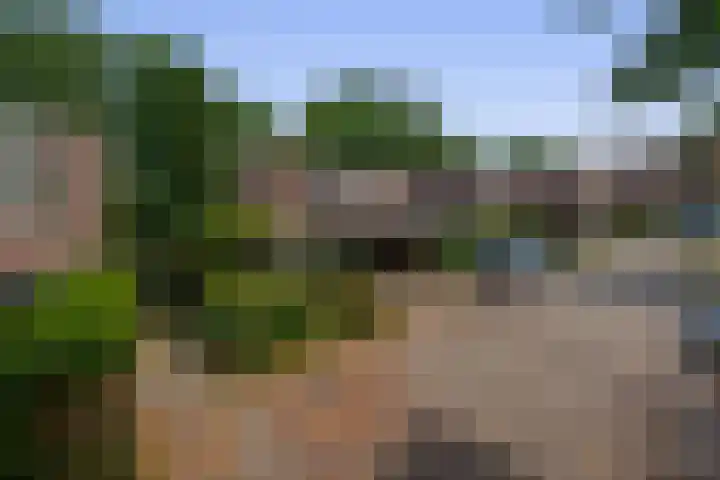 Zilvermeeuwhof 13 Nuenen thumbnail 7