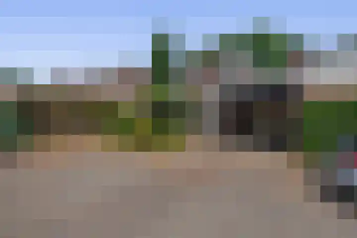 Zilvermeeuwhof 13 Nuenen thumbnail 8