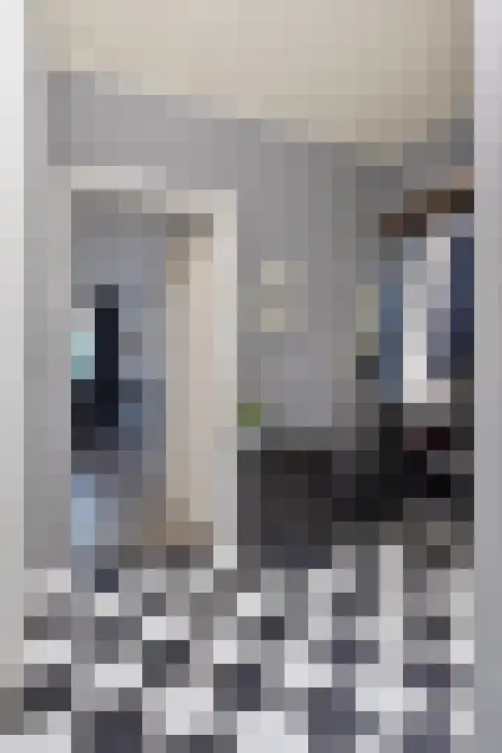 Zilvermeeuwhof 19 Nuenen thumbnail 11