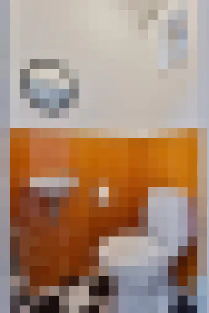 Zilvermeeuwhof 19 Nuenen thumbnail 12