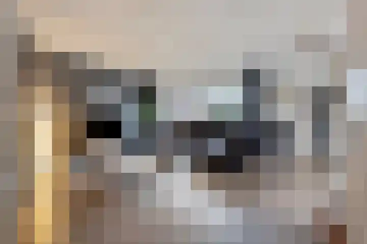 Zilvermeeuwhof 19 Nuenen thumbnail 13