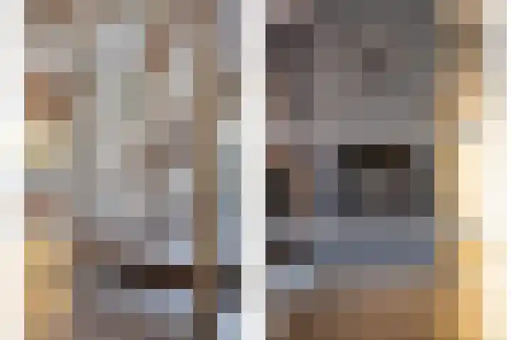 Zilvermeeuwhof 19 Nuenen thumbnail 14