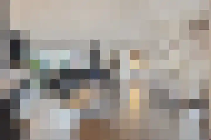 Zilvermeeuwhof 19 Nuenen thumbnail 15