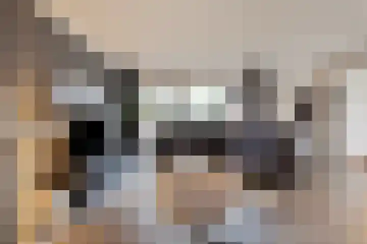 Zilvermeeuwhof 19 Nuenen thumbnail 17