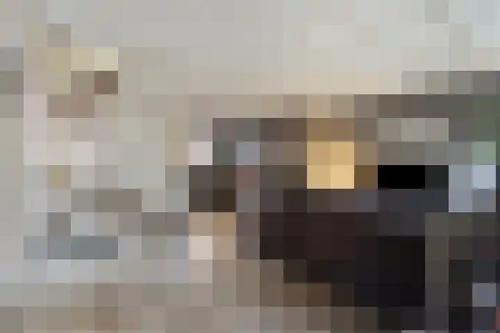 Zilvermeeuwhof 19 Nuenen thumbnail 18