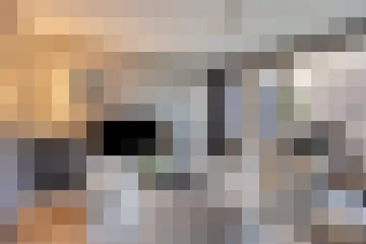 Zilvermeeuwhof 19 Nuenen thumbnail 19