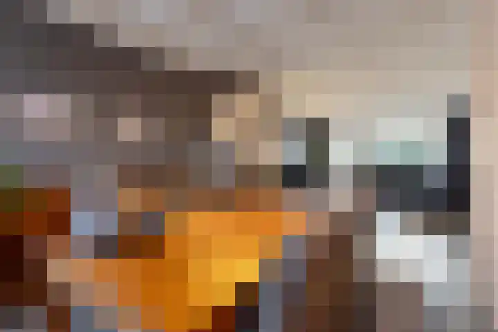 Zilvermeeuwhof 19 Nuenen thumbnail 23