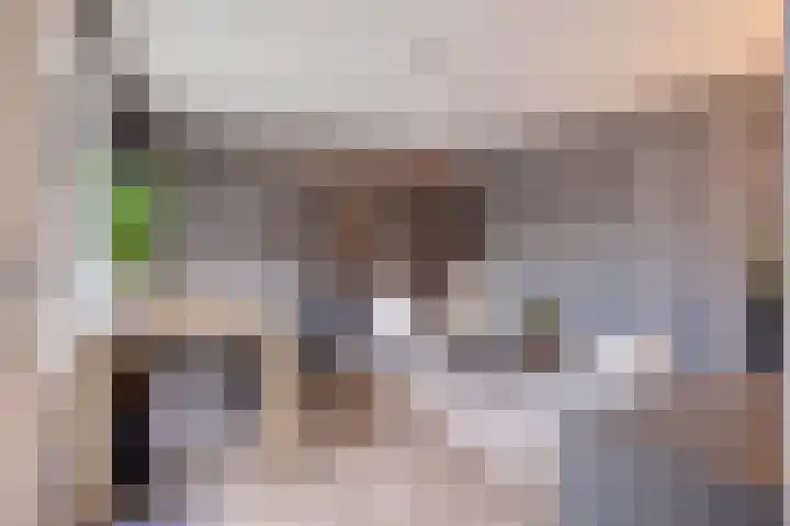 Zilvermeeuwhof 19 Nuenen thumbnail 24
