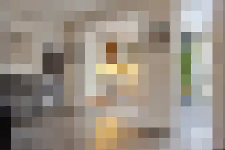Zilvermeeuwhof 19 Nuenen thumbnail 25
