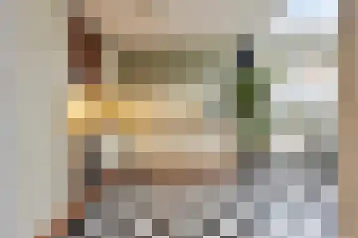 Zilvermeeuwhof 19 Nuenen thumbnail 26
