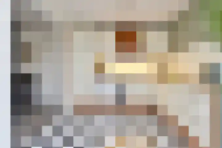 Zilvermeeuwhof 19 Nuenen thumbnail 28