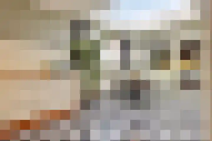 Zilvermeeuwhof 19 Nuenen thumbnail 29