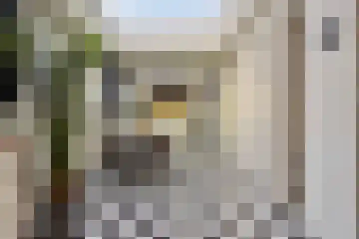 Zilvermeeuwhof 19 Nuenen thumbnail 30