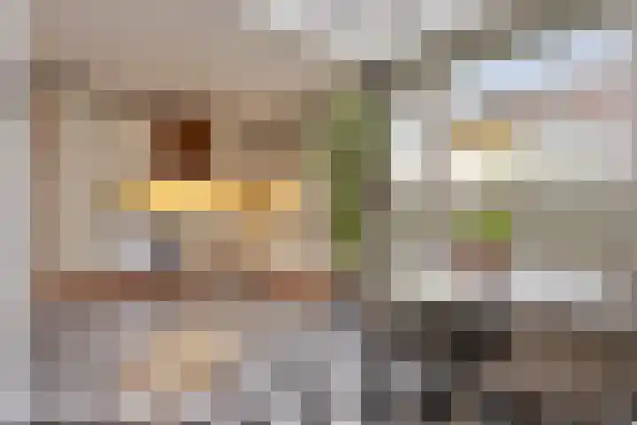 Zilvermeeuwhof 19 Nuenen thumbnail 31