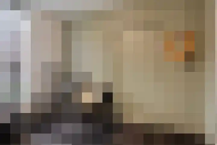 Zilvermeeuwhof 19 Nuenen thumbnail 36