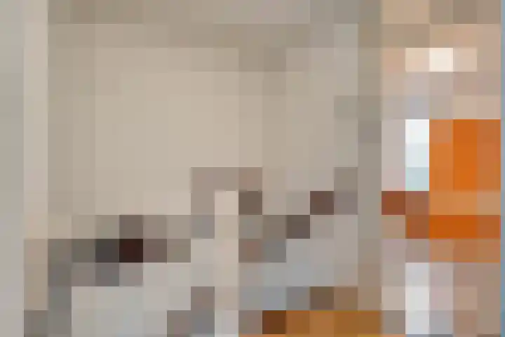 Zilvermeeuwhof 19 Nuenen thumbnail 38