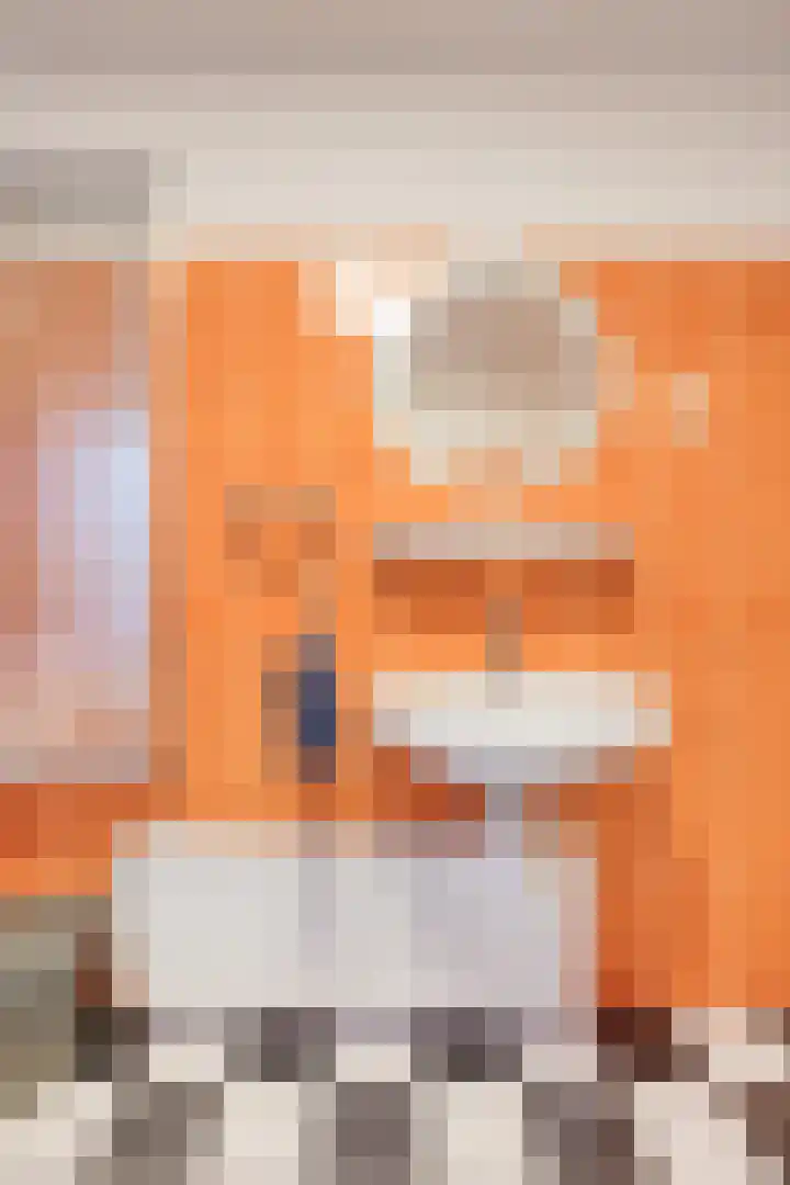 Zilvermeeuwhof 19 Nuenen thumbnail 41