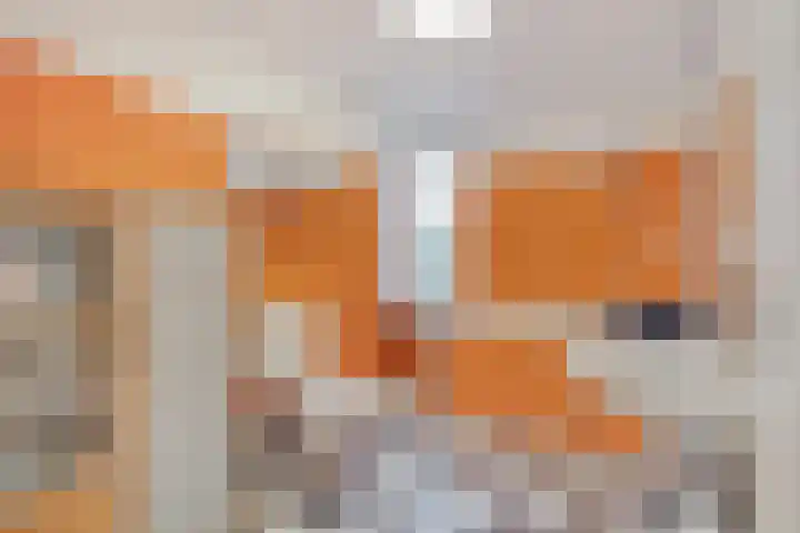 Zilvermeeuwhof 19 Nuenen thumbnail 42