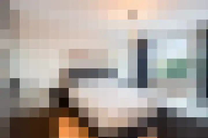 Zilvermeeuwhof 19 Nuenen thumbnail 43
