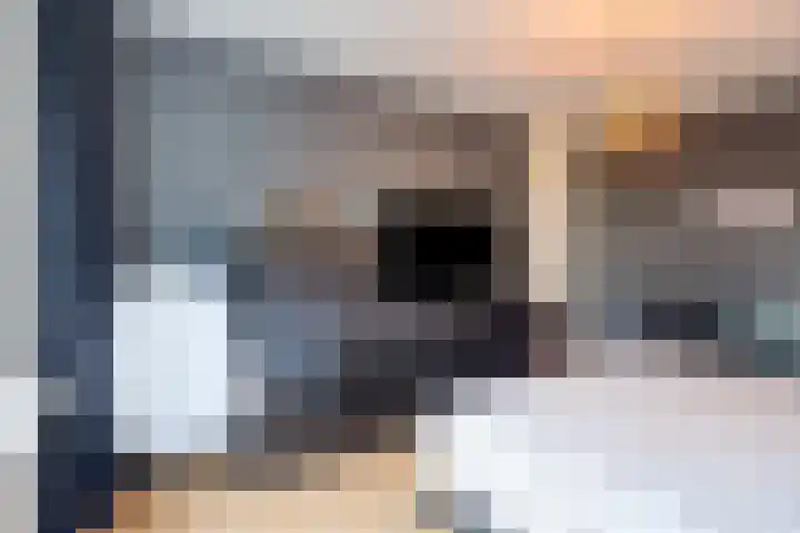 Zilvermeeuwhof 19 Nuenen thumbnail 44