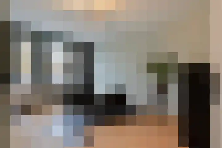 Zilvermeeuwhof 19 Nuenen thumbnail 45
