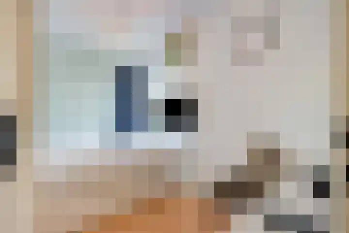 Zilvermeeuwhof 19 Nuenen thumbnail 49