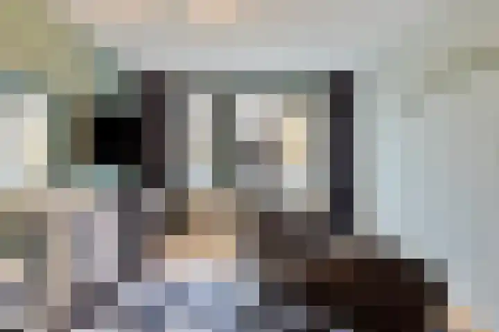Zilvermeeuwhof 19 Nuenen thumbnail 50