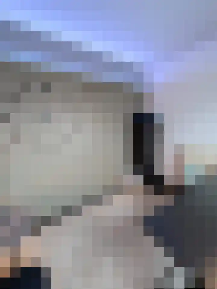 Zilvermeeuwhof 19 Nuenen thumbnail 59