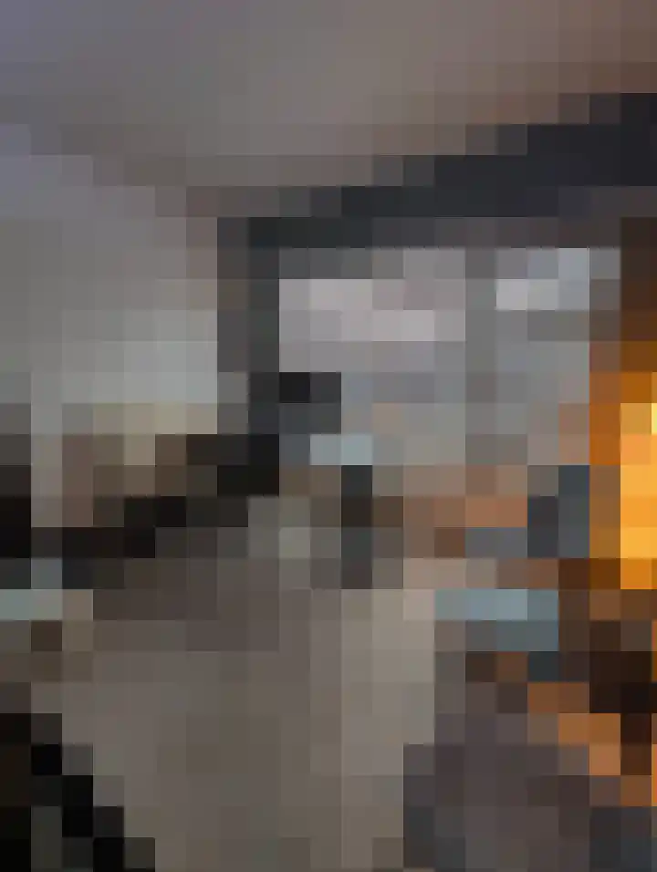 Zilvermeeuwhof 19 Nuenen thumbnail 60