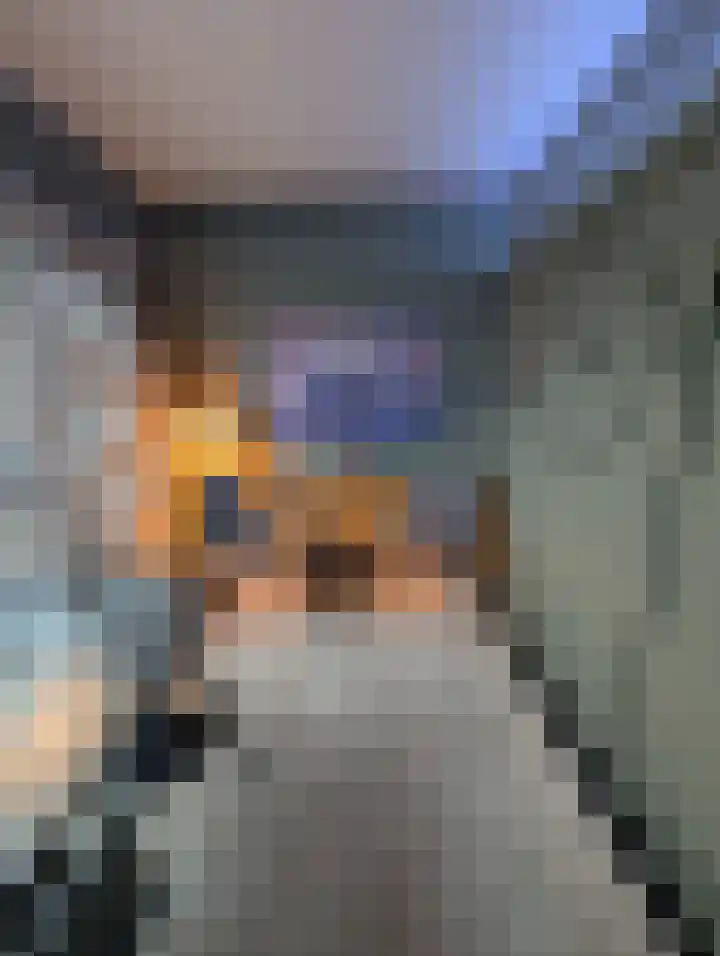 Zilvermeeuwhof 19 Nuenen thumbnail 61