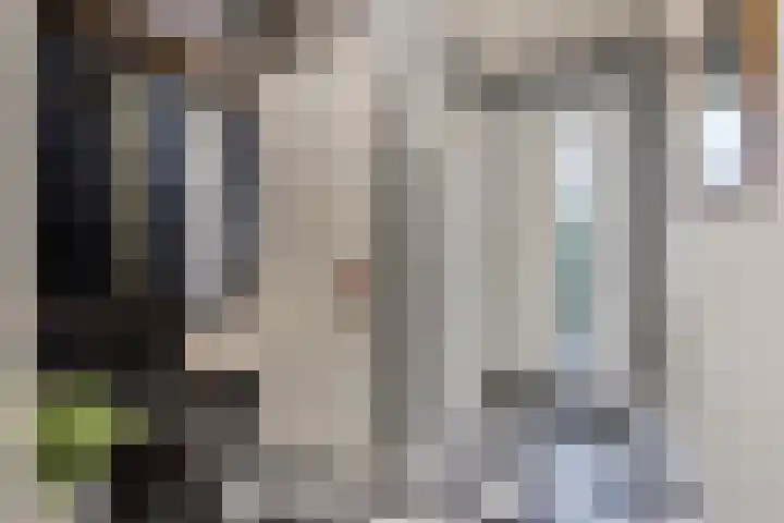 Zilvermeeuwhof 19 Nuenen thumbnail 9