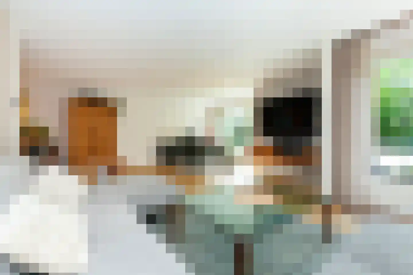 Zilvermeeuwlaan 10 Vlaardingen thumbnail 17