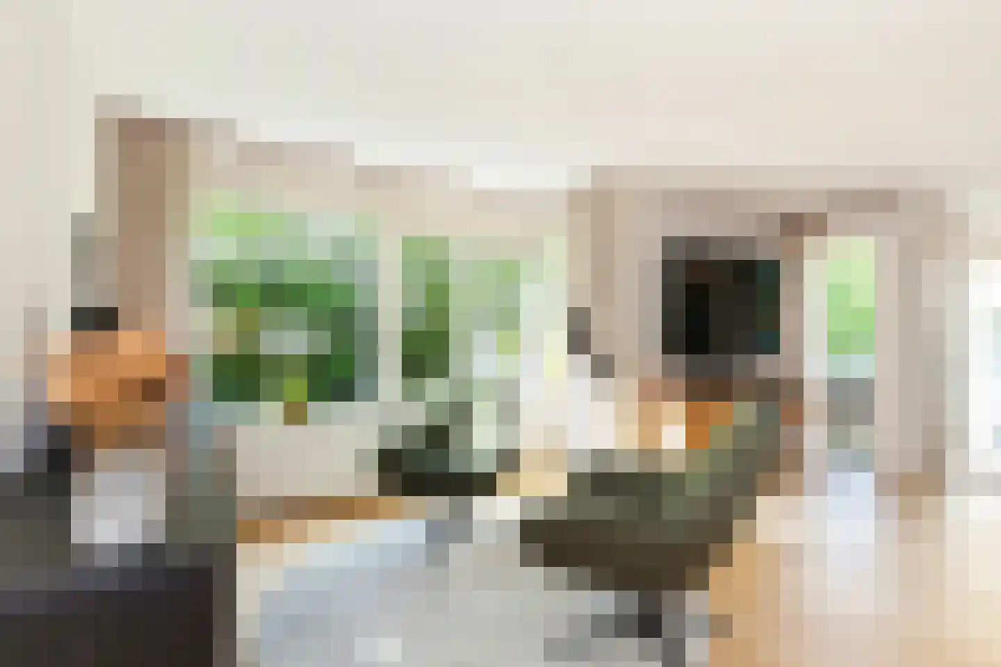 Zilvermeeuwlaan 10 Vlaardingen thumbnail 19
