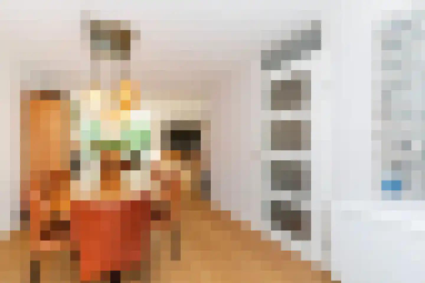Zilvermeeuwlaan 10 Vlaardingen thumbnail 21