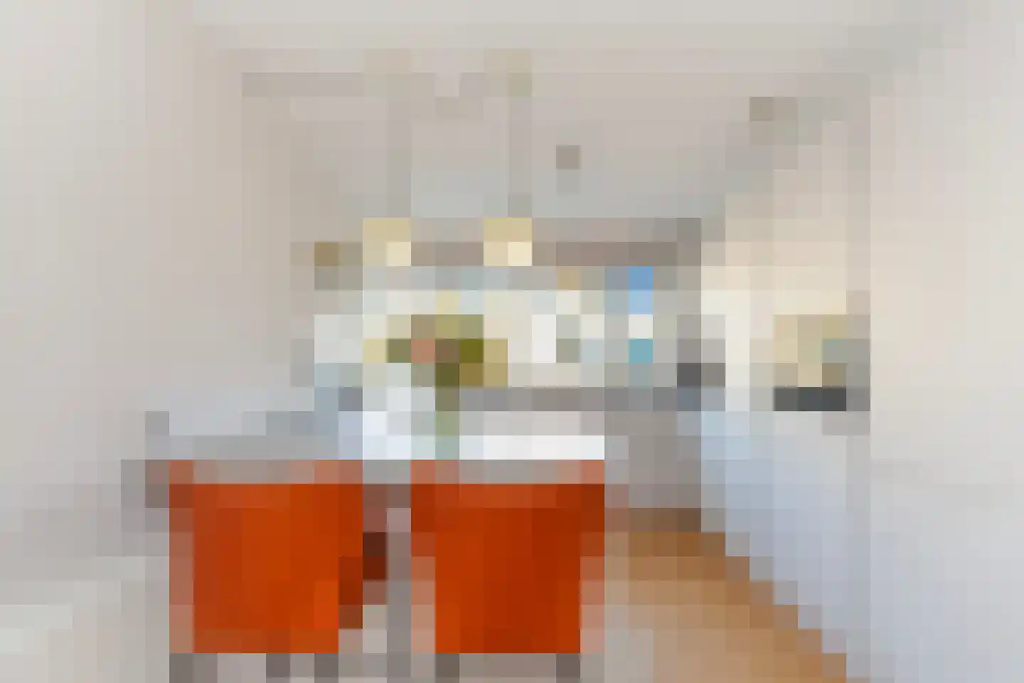 Zilvermeeuwlaan 10 Vlaardingen thumbnail 23