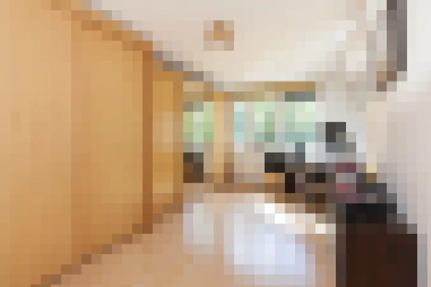Zilvermeeuwlaan 10 Vlaardingen thumbnail 35