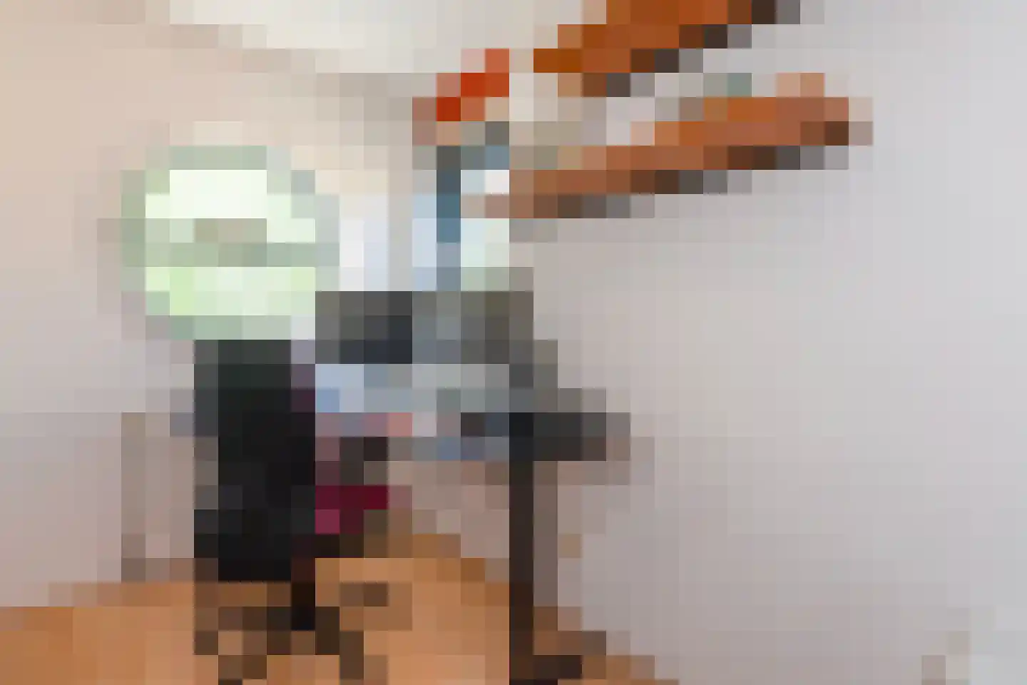 Zilvermeeuwlaan 10 Vlaardingen thumbnail 37
