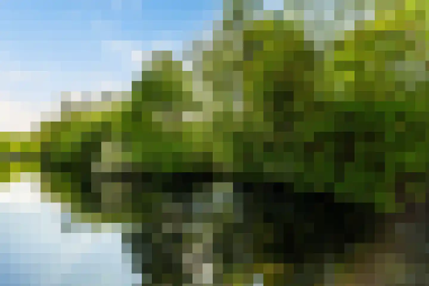 Zilvermeeuwlaan 10 Vlaardingen thumbnail 53