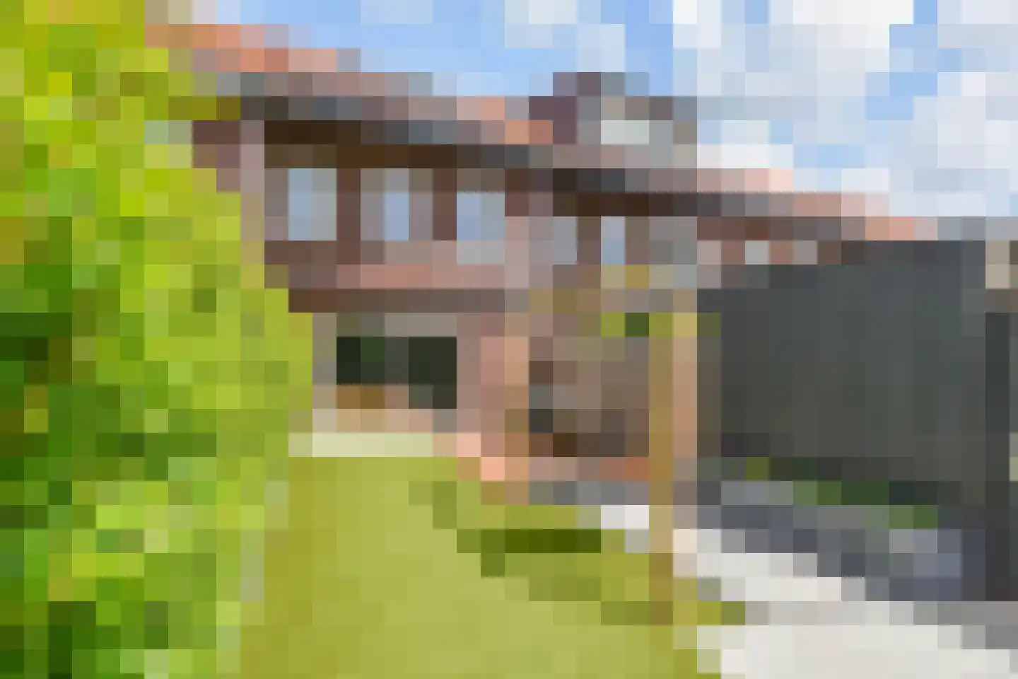 Zilvermeeuwlaan 15 Den Haag thumbnail 10