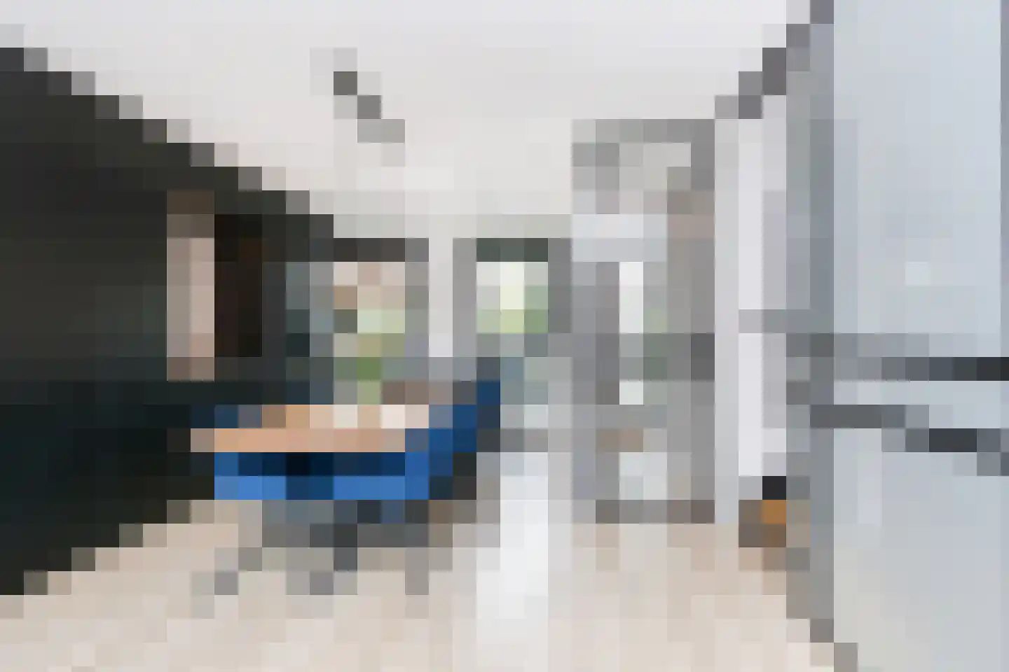 Zilvermeeuwlaan 15 Den Haag thumbnail 13