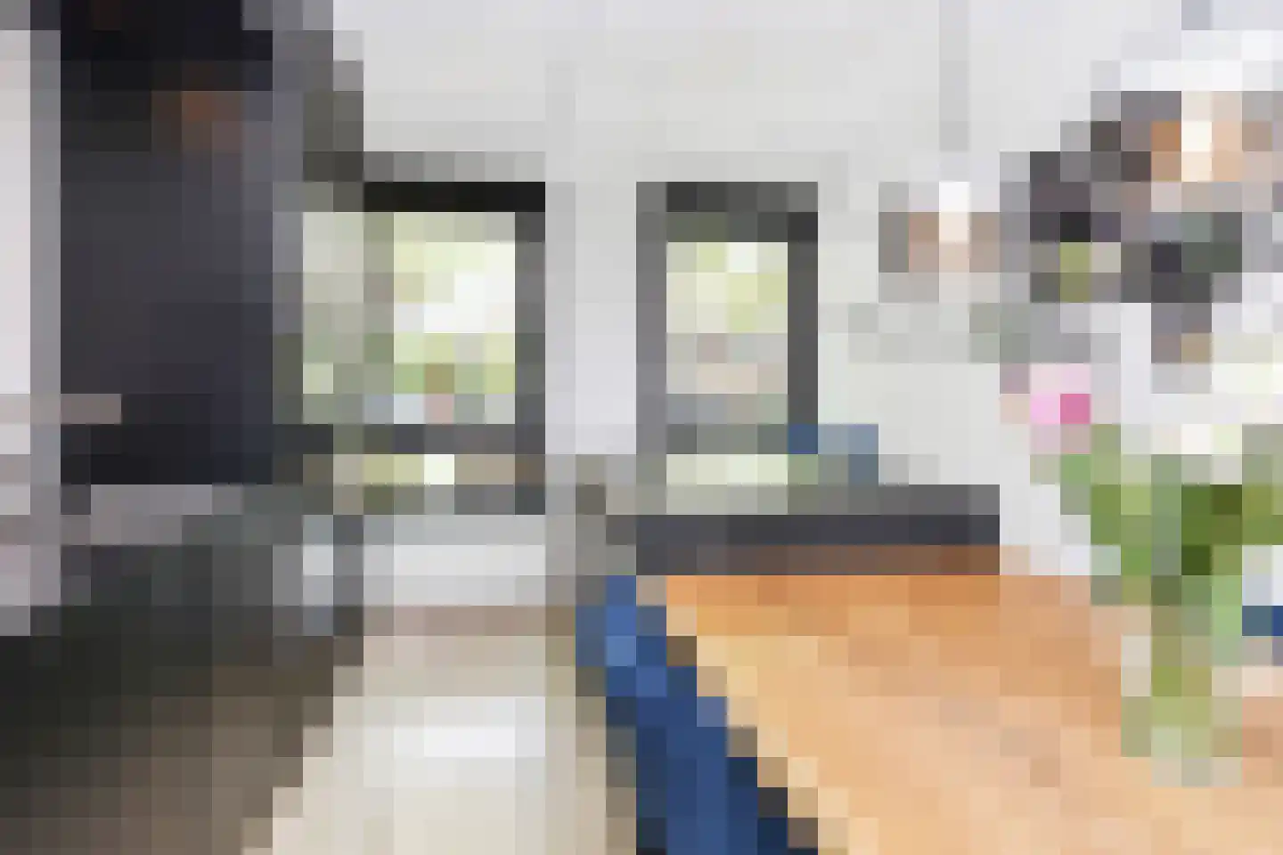 Zilvermeeuwlaan 15 Den Haag thumbnail 14