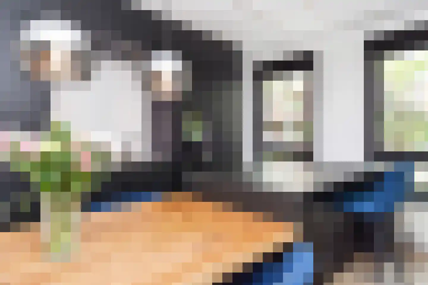 Zilvermeeuwlaan 15 Den Haag thumbnail 15