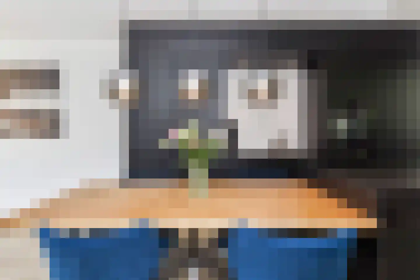 Zilvermeeuwlaan 15 Den Haag thumbnail 16