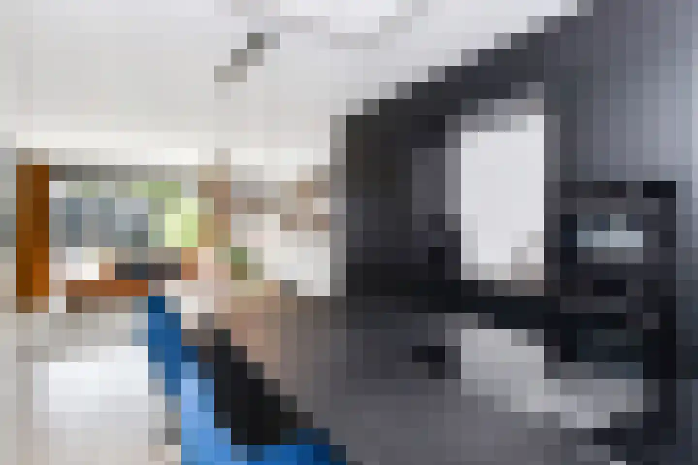 Zilvermeeuwlaan 15 Den Haag thumbnail 17
