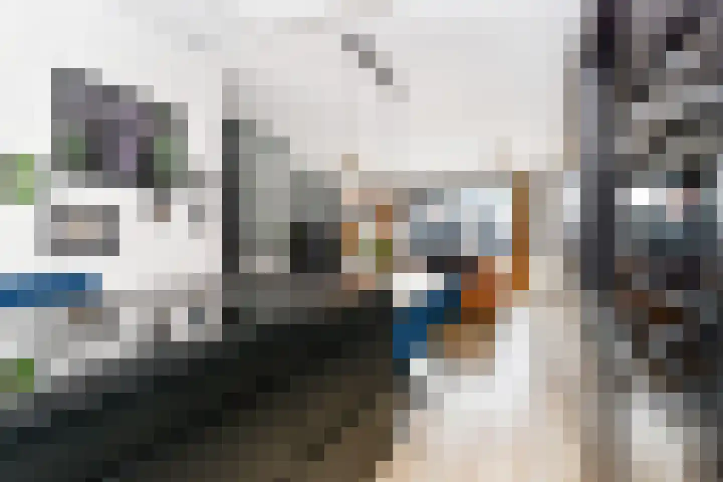 Zilvermeeuwlaan 15 Den Haag thumbnail 18