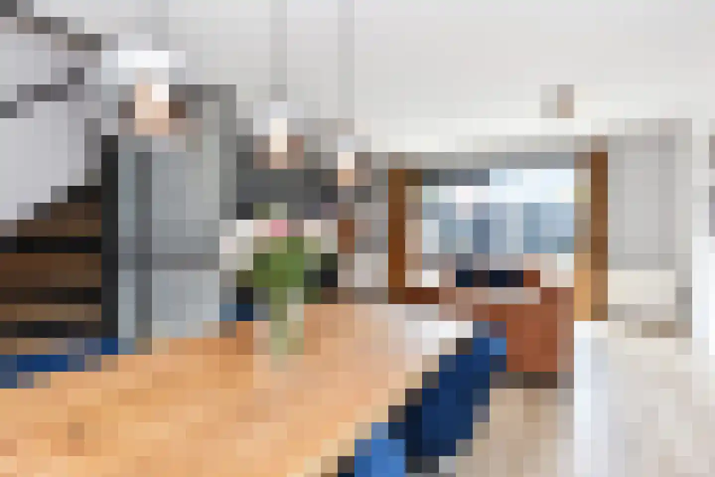Zilvermeeuwlaan 15 Den Haag thumbnail 19