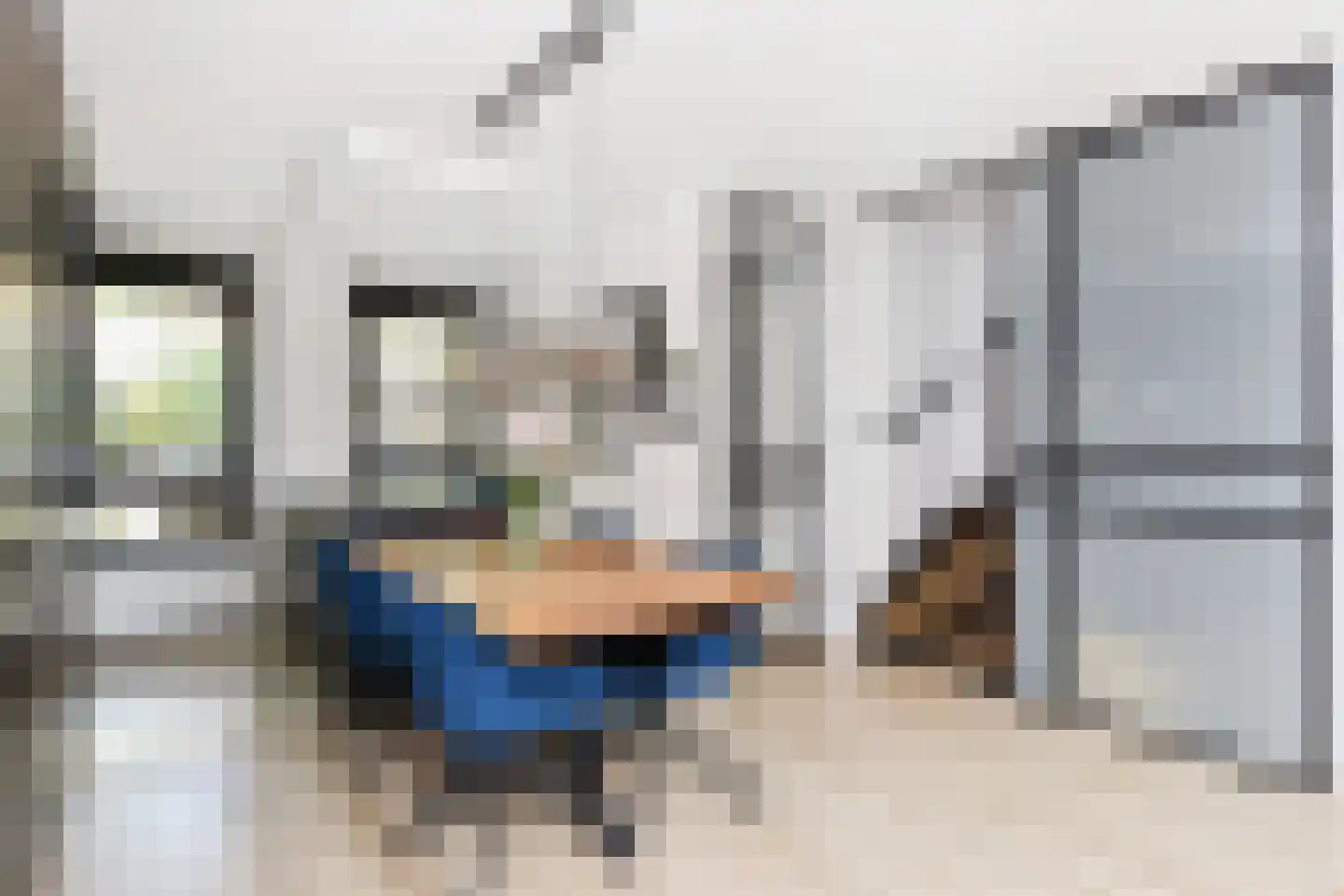 Zilvermeeuwlaan 15 Den Haag thumbnail 20